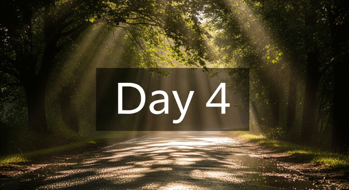 中央に配置されたDay4の文字と朝の雨上がりの木漏れ日がランニングロードに射す背景画像。